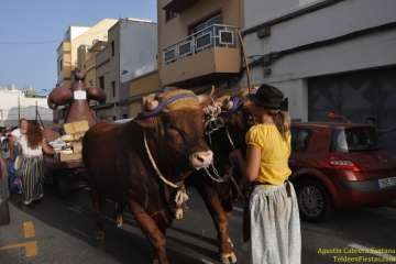 Romerías del Carmen en Marpequeña, Medianía y Las Huesas (Foto TF y TA)
